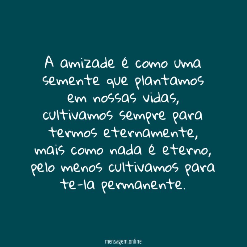 A amizade é como uma semente que plantamos em nossas vidas