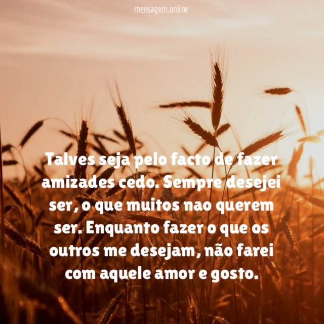 Talves seja pelo facto de fazer amizades cedo