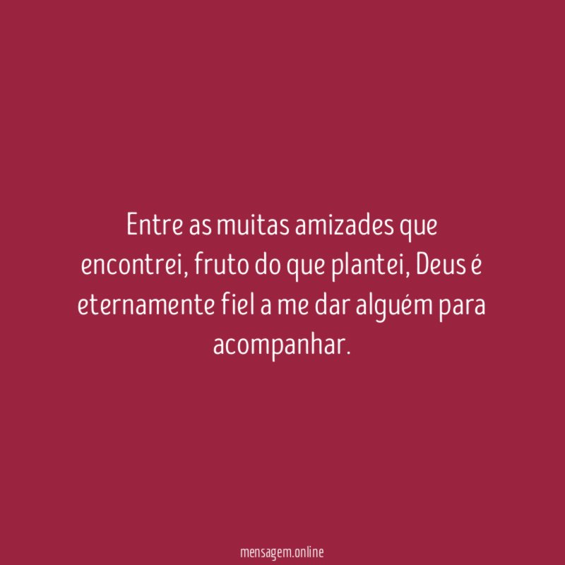 Entre as muitas amizades que encontrei