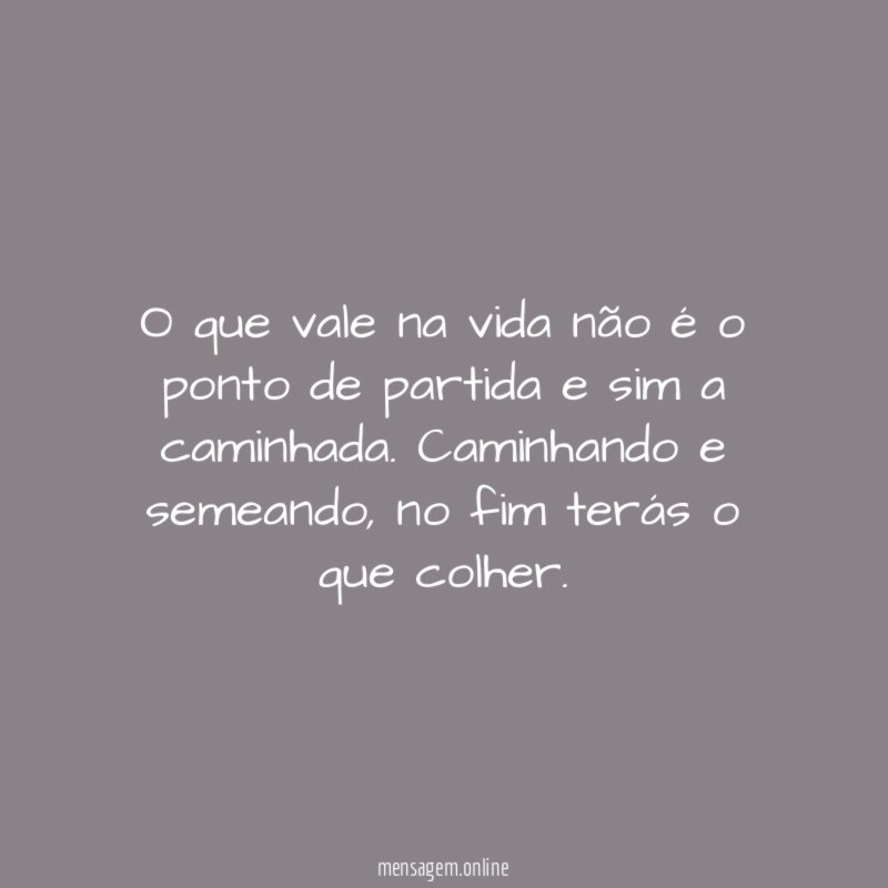 O que vale na vida não é