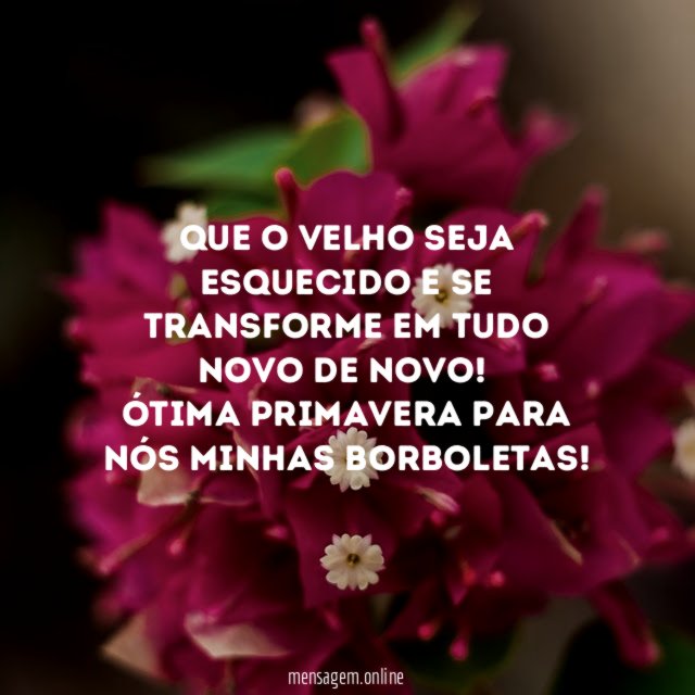 Que o velho seja esquecido e se transforme
