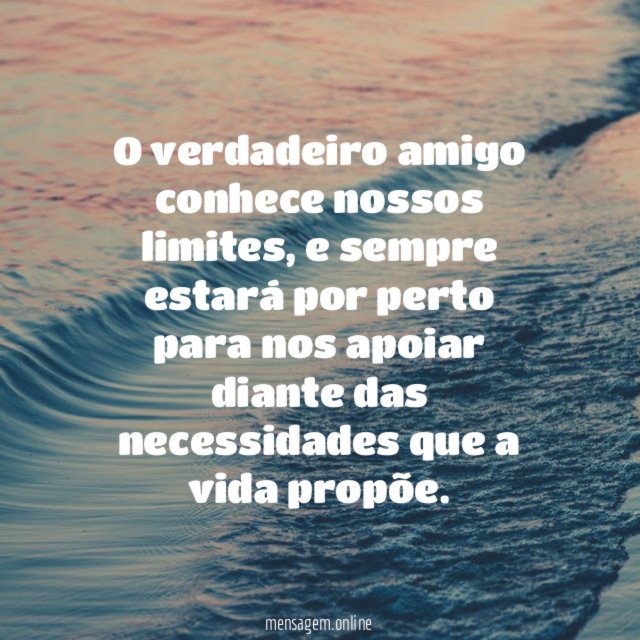 O verdadeiro amigo conhece nossos limites