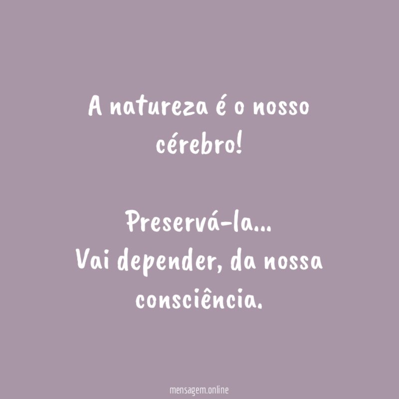 A natureza é o nosso cérebro