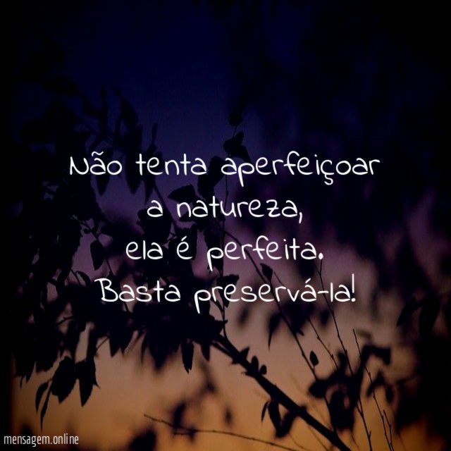 Não tenta aperfeiçoar a natureza