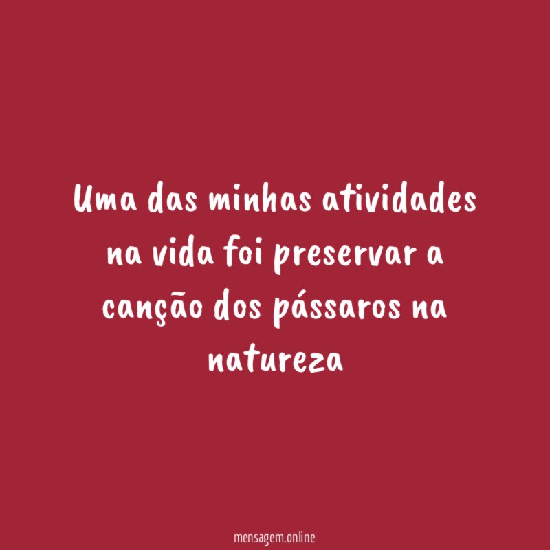 Uma das minhas atividades na vida foi preservar