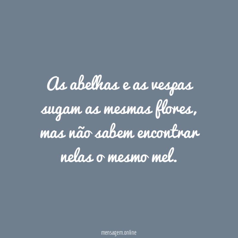 As abelhas e as vespas sugam as mesmas flores