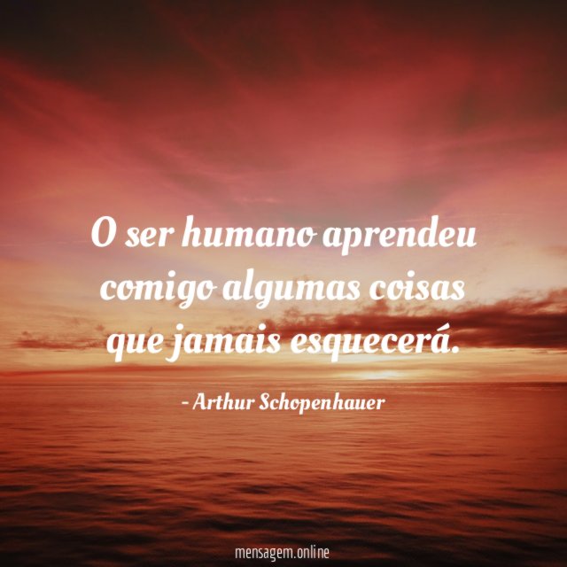 O ser humano aprendeu comigo algumas coisas que jamais esquecerá