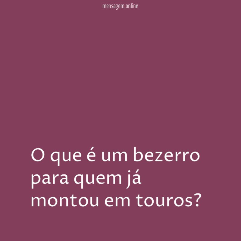 O que é um bezerro para quem já montou em touros