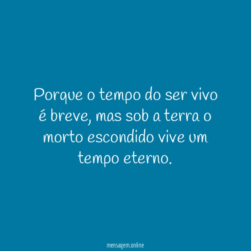 Porque o tempo do ser vivo é breve