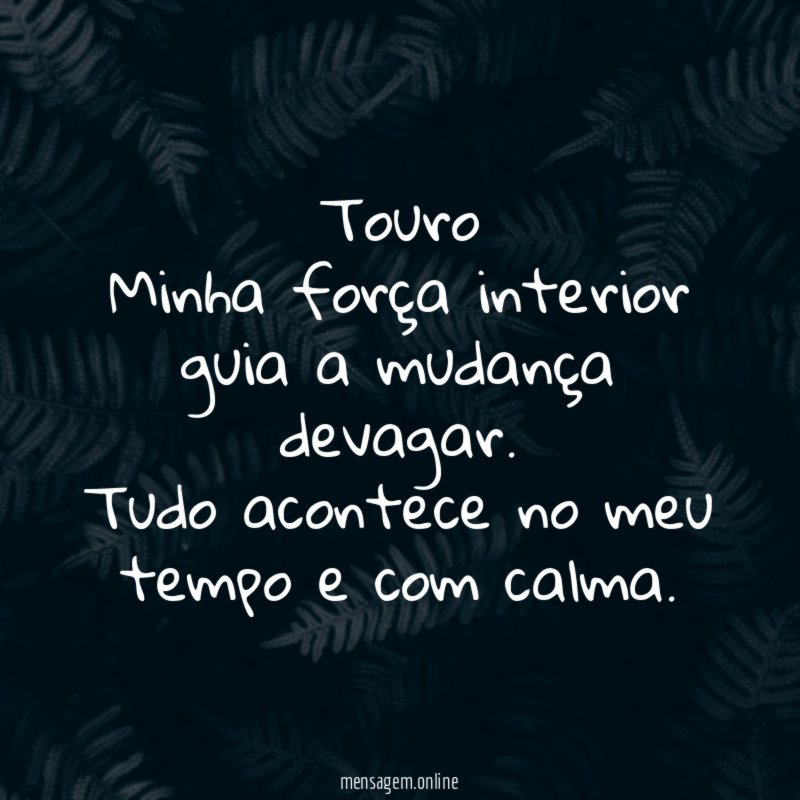 Touro Minha força interior guia a mudança devagar
