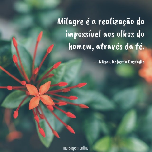 Milagre é a realização do impossível aos olhos do homem
