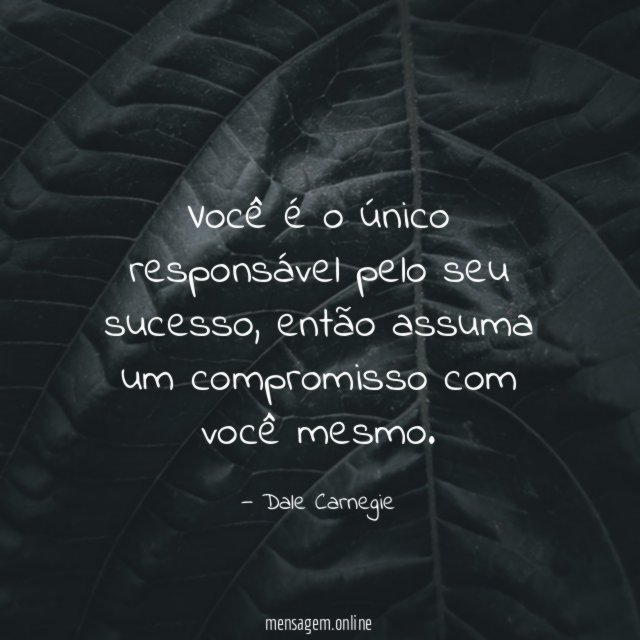 Você é o único responsável pelo seu sucesso