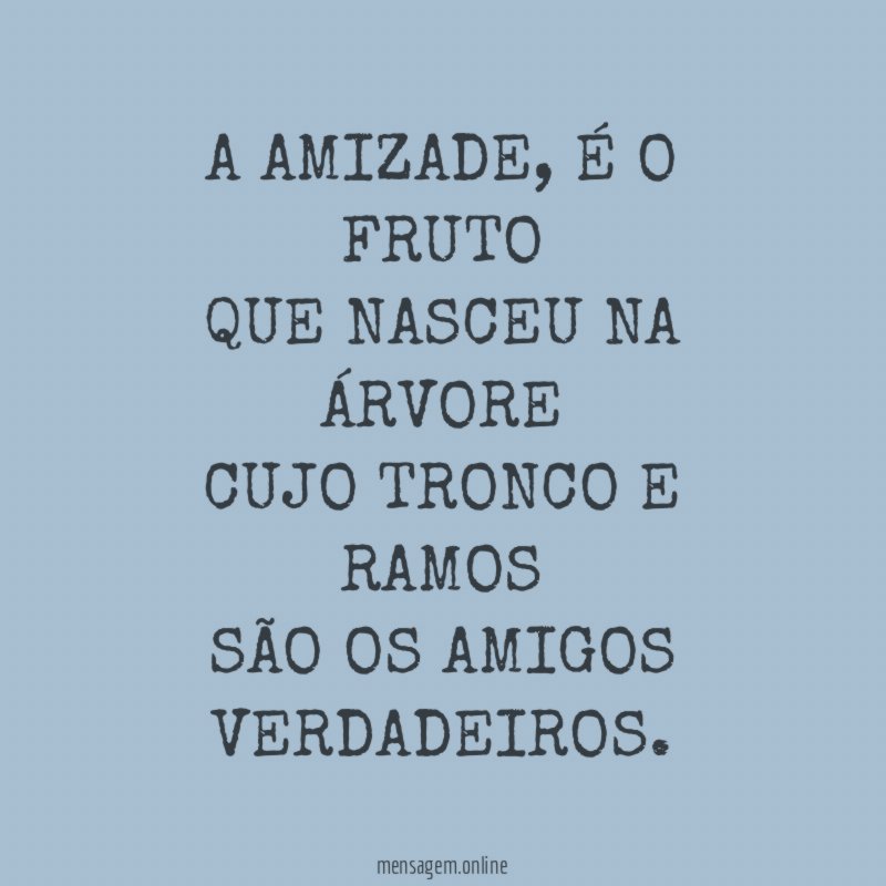 A AMIZADE