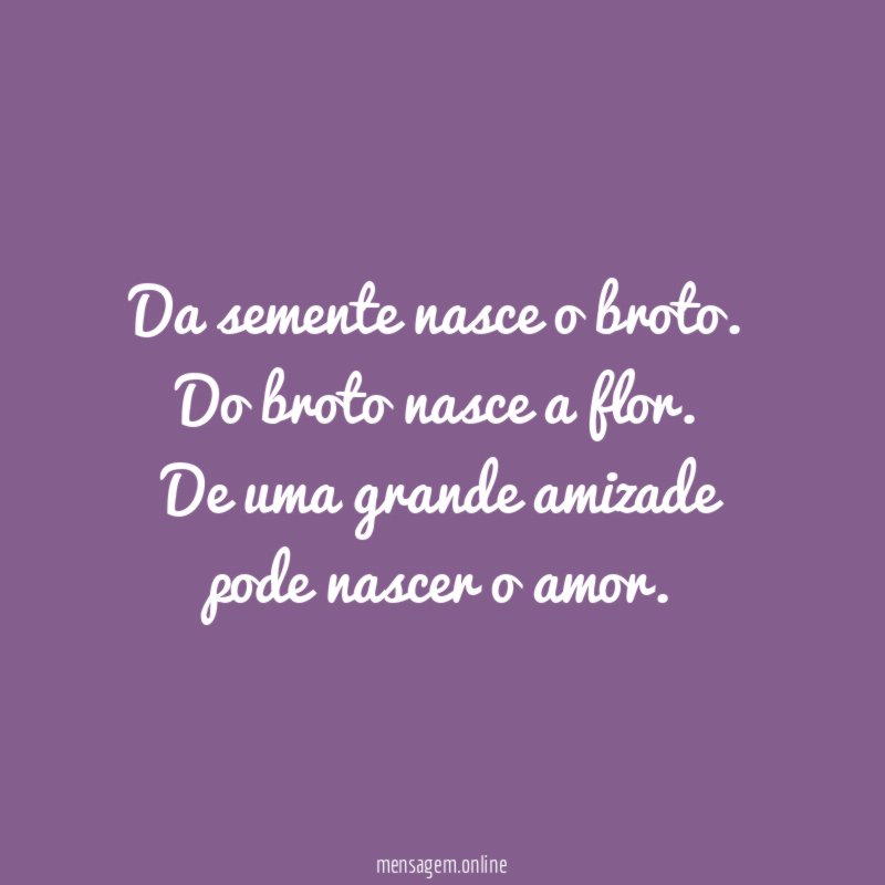 Da semente nasce o broto