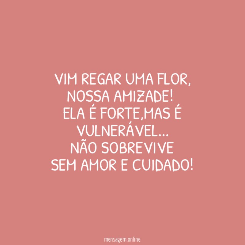 Vim regar uma flor