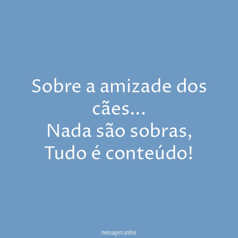 Sobre a amizade dos cães