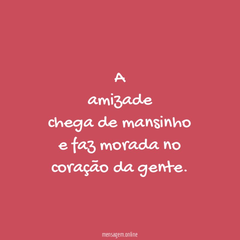 A amizade chega de mansinho e faz morada no coração da