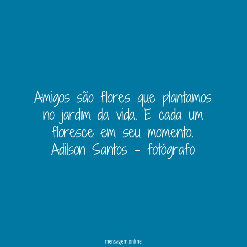 Amigos são flores que plantamos no jardim da vida. E cada um floresce em seu momento.