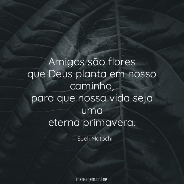 Amigos são flores que Deus planta em nosso caminho