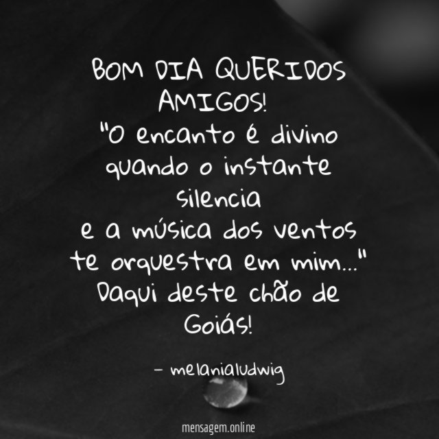 BOM DIA QUERIDOS AMIGOS