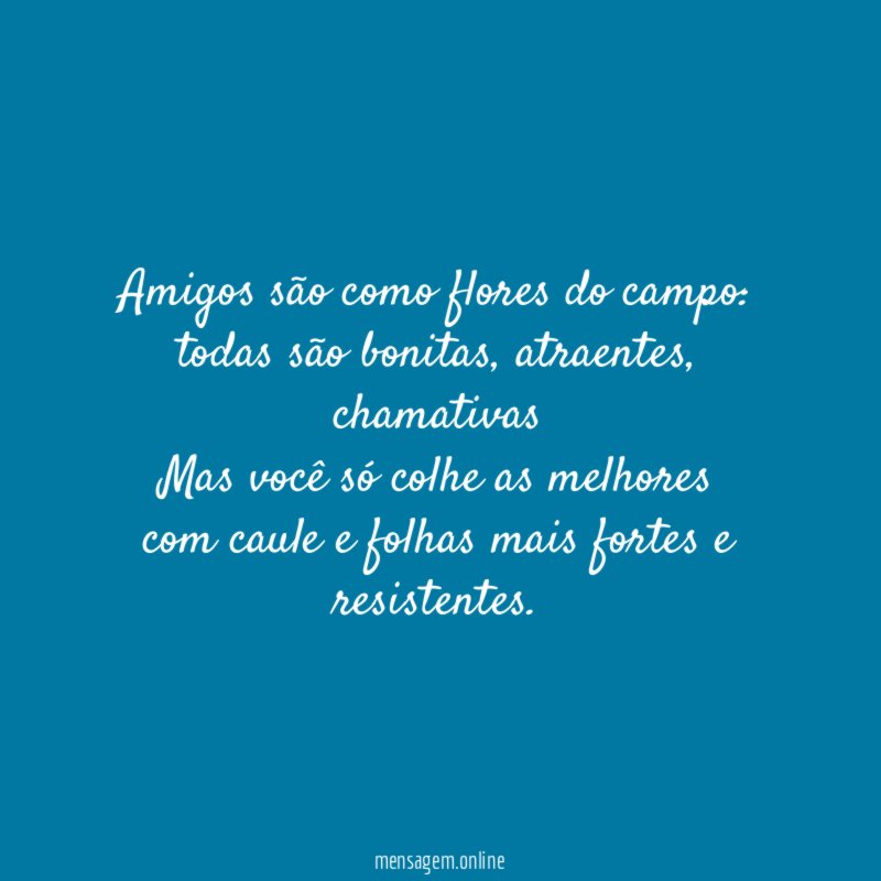 Amigos são como flores do campo