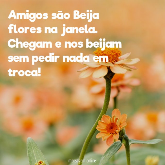 Amigos são Beija flores na janela