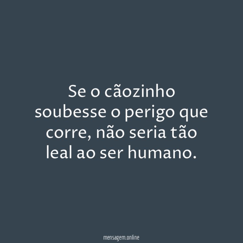 Se o cãozinho soubesse o perigo que corre