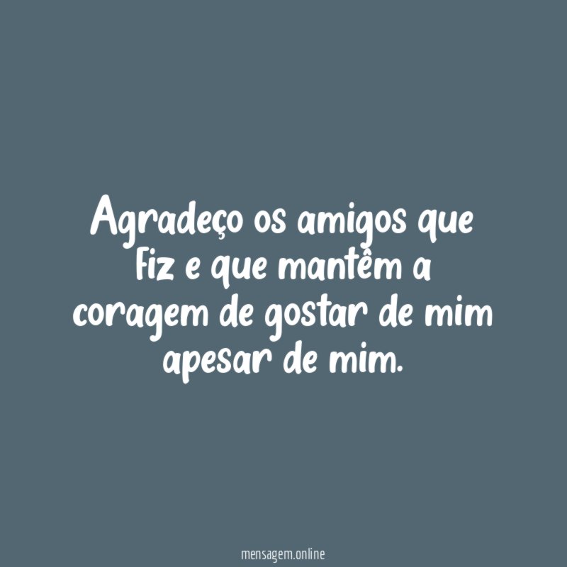 Agradeço os amigos que fiz e que mantêm