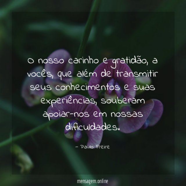 O nosso carinho e gratidão