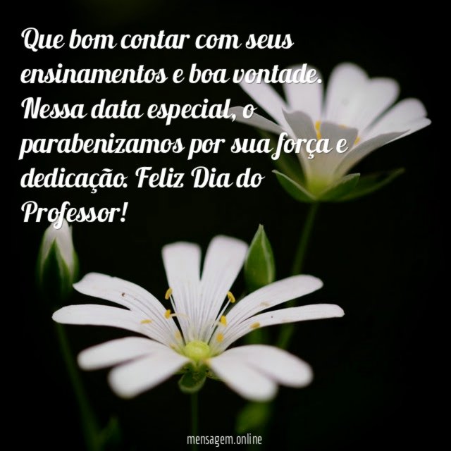 Que bom contar com seus ensinamentos e boa vontade