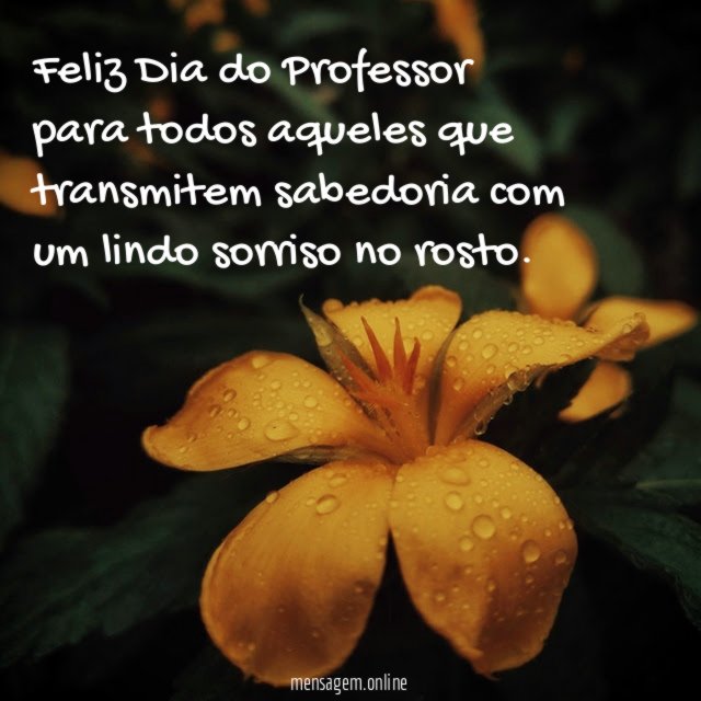 Feliz Dia do Professor para todos aqueles que
