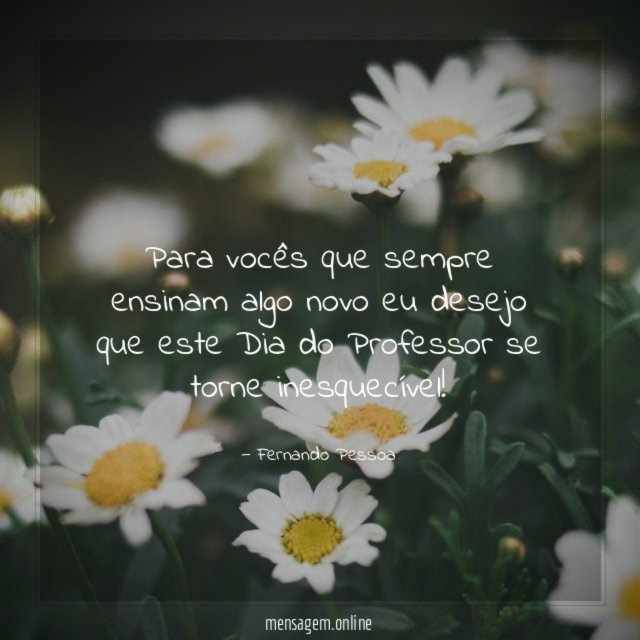 Para vocês que sempre ensinam algo novo eu