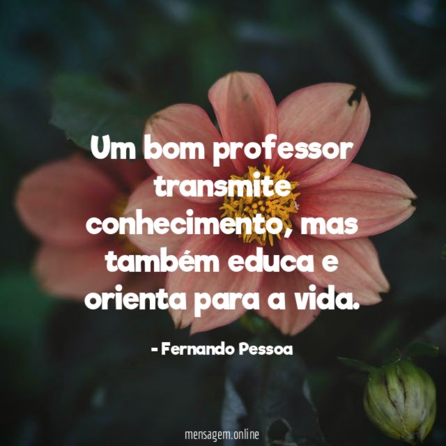 Um bom professor transmite conhecimento