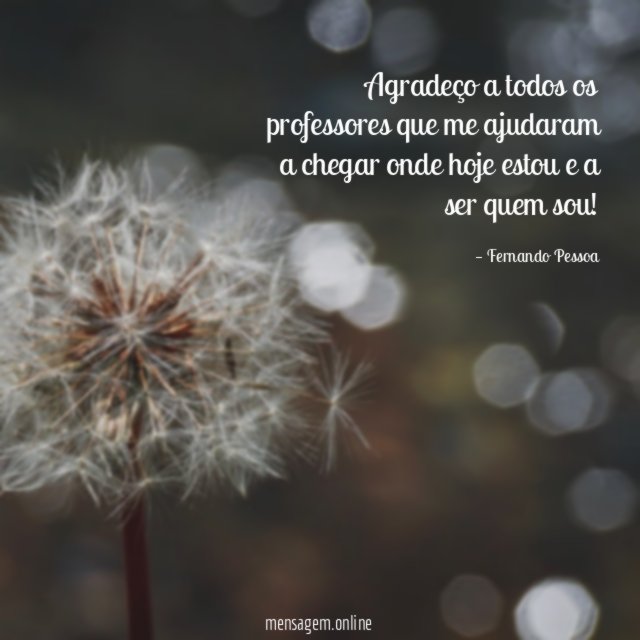 Agradeço a todos os professores que me ajudaram