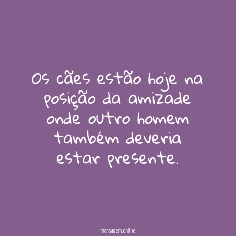 Os cães estão hoje na posição da amizade