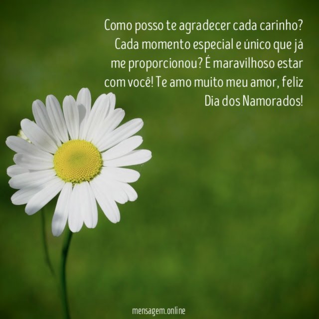 Como posso te agradecer cada carinho