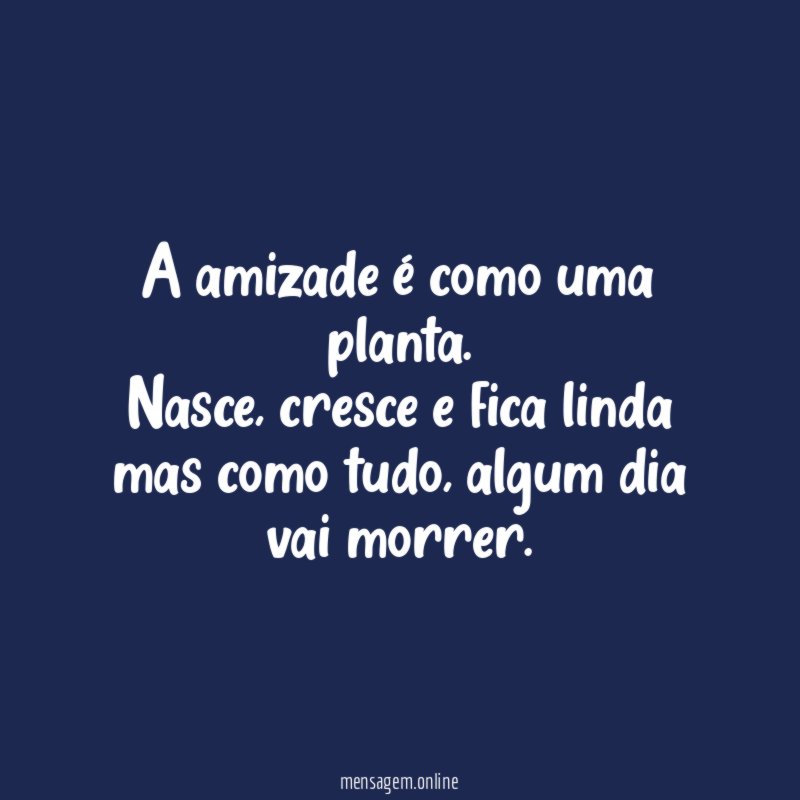 A amizade é como uma planta