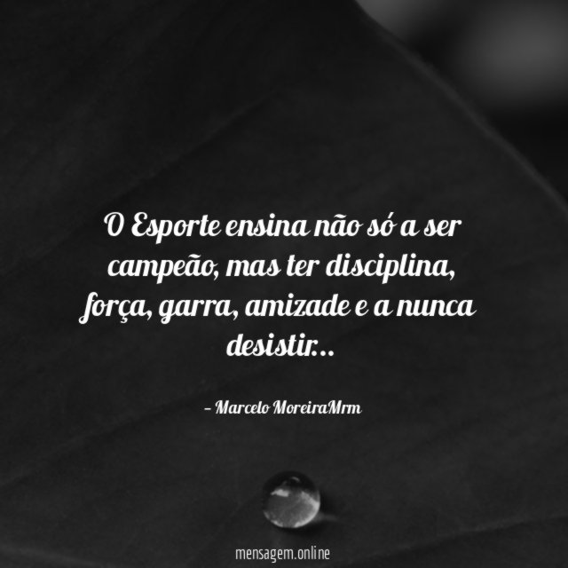 O Esporte ensina não só a ser campeão