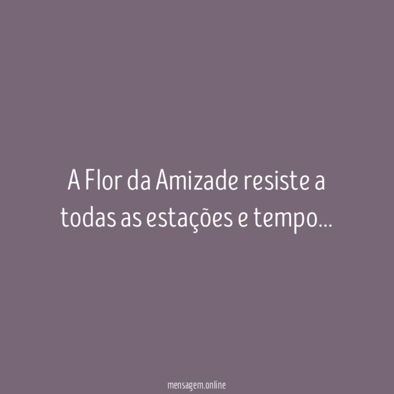 A Flor da Amizade resiste a todas as estações e tempo