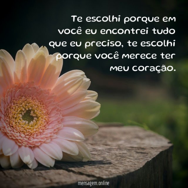 Eu te escolhi