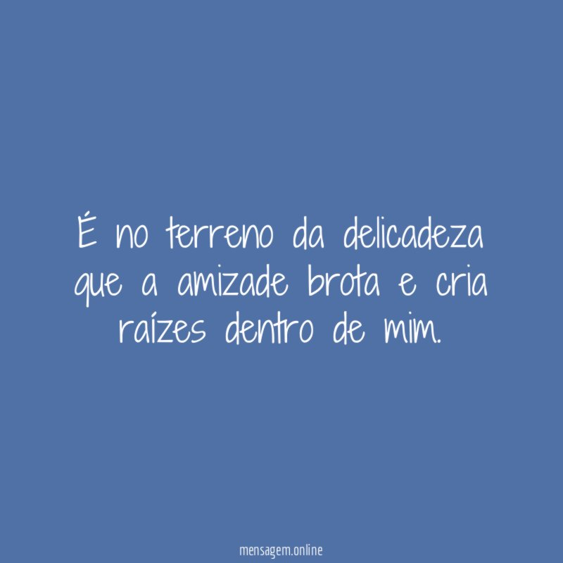É no terreno da delicadeza que a amizade