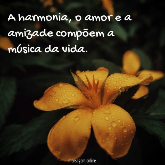 A harmonia