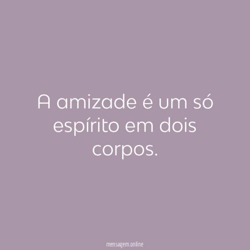 A amizade é um só espírito em dois corpos