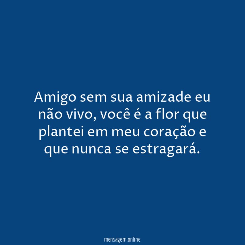 Amigo sem sua amizade eu não vivo