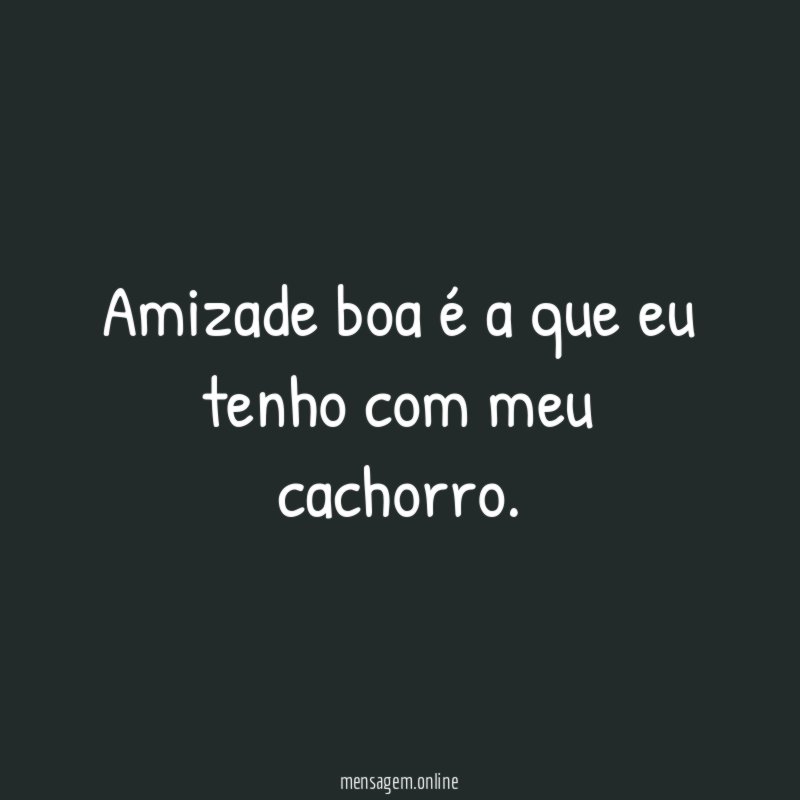 Amizade boa é a que eu tenho com meu cachorro