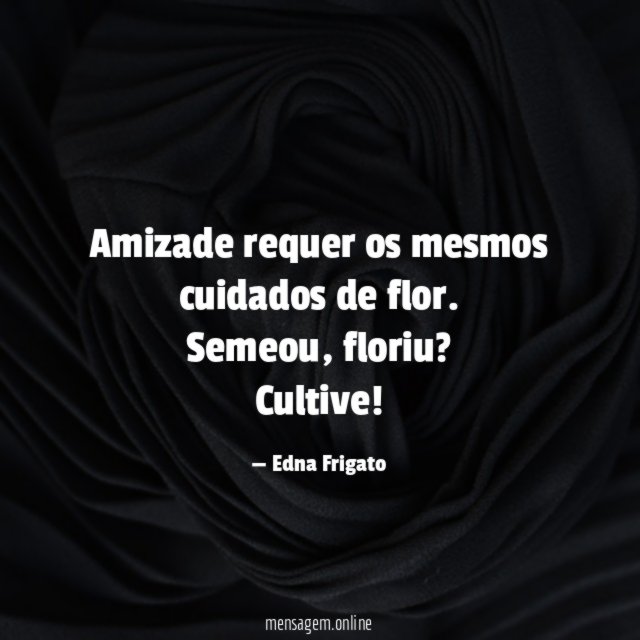 Amizade requer os mesmos cuidados de flor