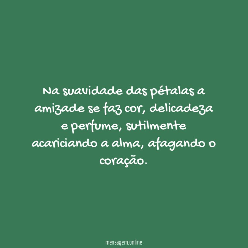 Na suavidade das pétalas a amizade se faz cor