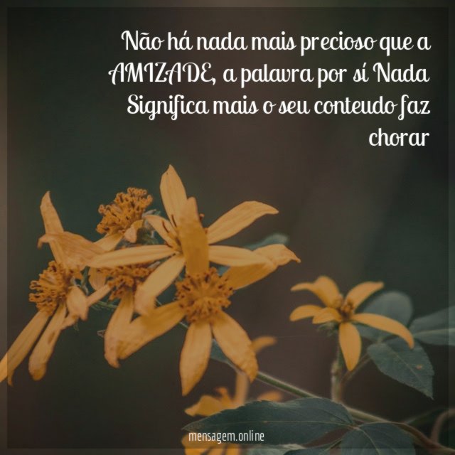 Não há nada mais precioso que a AMIZADE