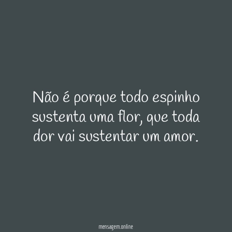 Não é porque todo espinho sustenta uma flor