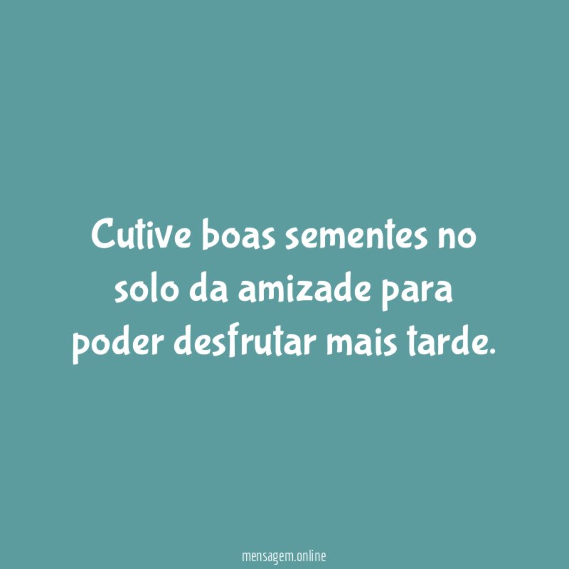 Cutive boas sementes no solo da amizade para poder desfrutar mais tarde